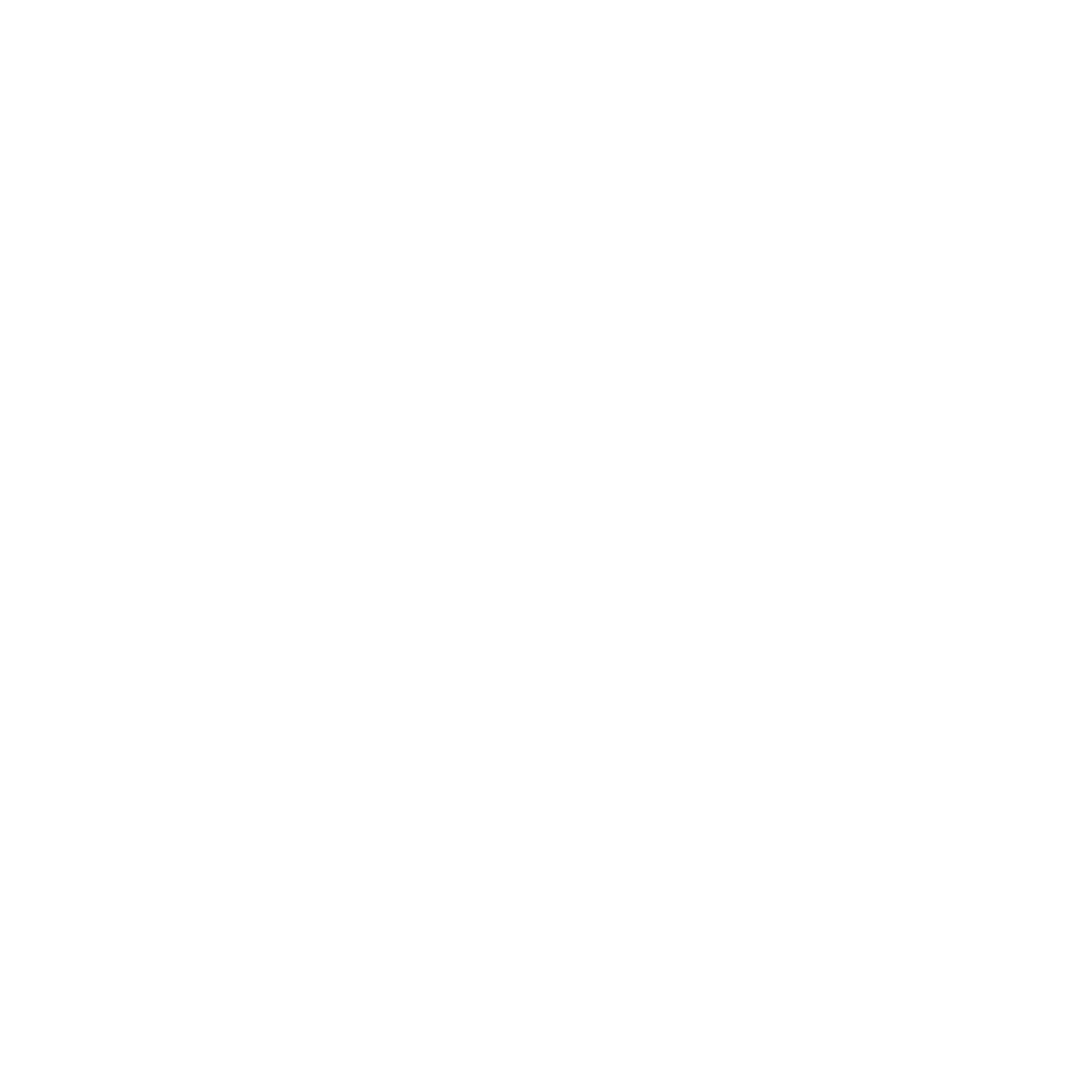 UNLEASH FITNESS Logo